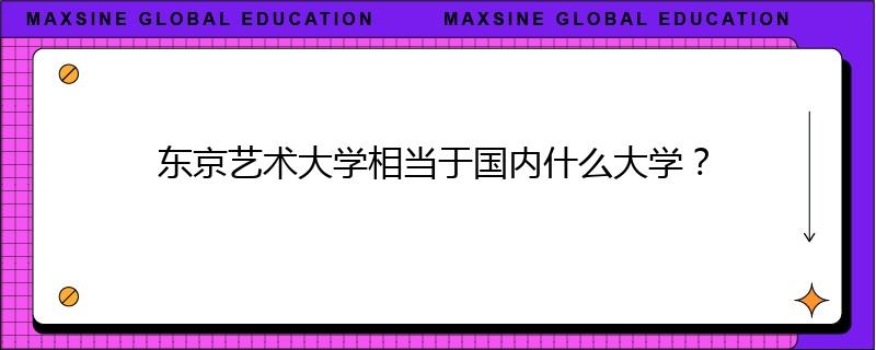 東京藝術(shù)大學(xué)相當(dāng)于國(guó)內(nèi)什么大學(xué)？