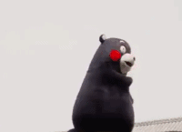 0 (6).gif