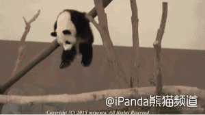 t0136dfa355c4289e96.gif