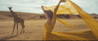 t019f29ae17ee9ba6b8.gif