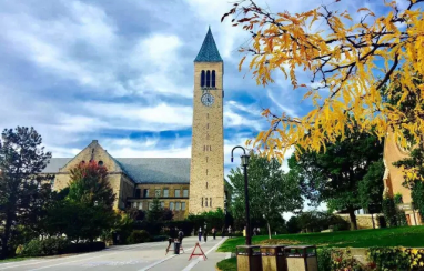 申請康奈爾大學要求是什么？