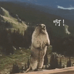 1548157289838868.gif