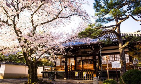 藝術(shù)與工業(yè)的完美結(jié)合，詳解日本藝術(shù)大學(xué)概況