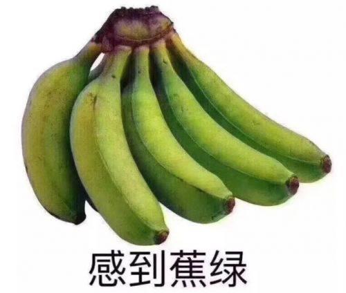 1551143953202674.jpg