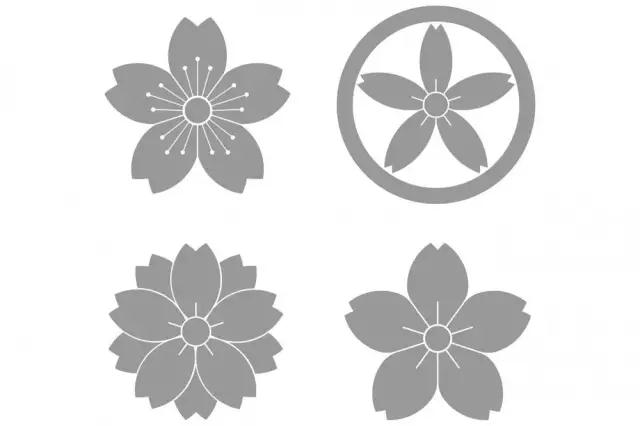 1554087076617461.jpg