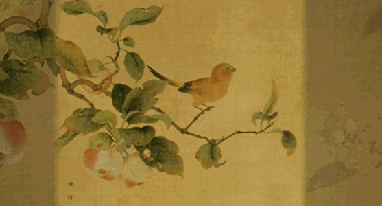 1555900374149019.gif