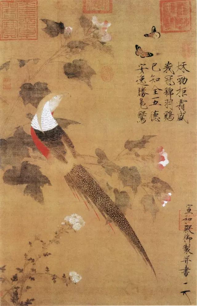 1555900783859535.jpg