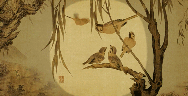 1555900939826642.gif