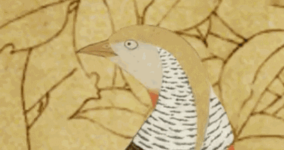 微信圖片_20190419103404.gif