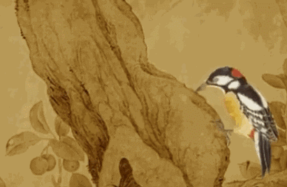 微信圖片_20190419103406.gif