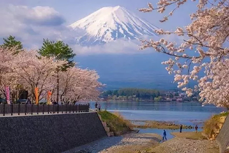 日本留學(xué)設(shè)計專業(yè)學(xué)費詳情