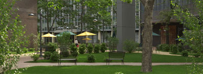紐約長島大學(xué)排名
