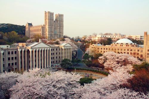 韓國(guó)有哪些藝術(shù)類(lèi)大學(xué)？