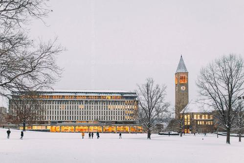 康奈爾大學學費情況一覽！