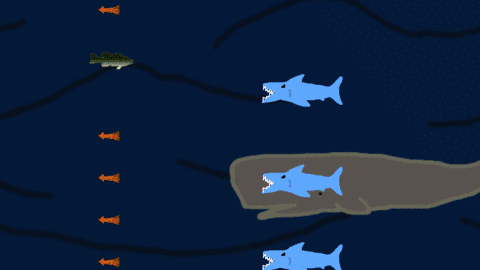 1569223019405335.gif