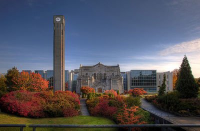 ubc大學(xué)世界排名