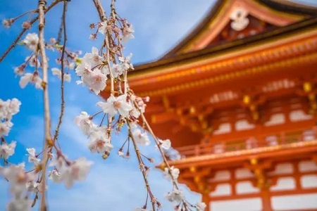 日本藝術(shù)大學留學費用情況一覽！