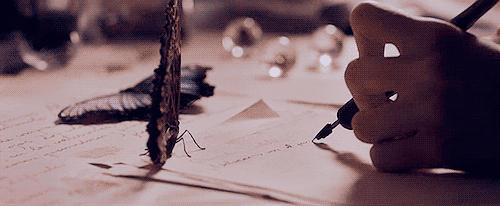 14.gif