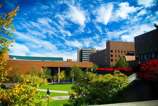 紐約州立大學(xué)布法羅分校世界排名.jpg