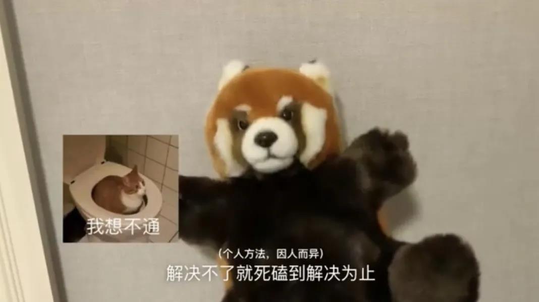 倫藝是眾多藝術(shù)留學(xué)學(xué)子的夢校，如拿到了該校的入場券，相信絕大多數(shù)同學(xué)會毫不猶豫地奔赴這所頂級藝術(shù)教育殿堂。  然而本期分享的明星學(xué)員晴同學(xué)在拿到倫藝offer后，卻選擇了口碑不錯的金斯頓大學(xué)！這是因為倫藝不夠好？還是因為金斯頓大學(xué)口碑太好？亦或是另有隱情·····  閑話不多說，這就進入有著有趣靈魂，且不愿意露面的晴同學(xué)分享的作品集制作心路歷程吧！