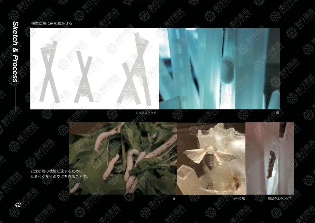 揭秘 | 美行純藝“神秘組織”--黃家軍主教，如何做到人手一枚倫藝offer ！