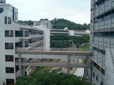 2021年新加坡藝術(shù)類大學(xué)排名
