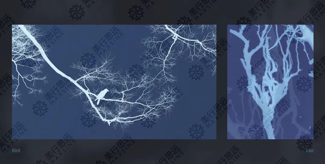 她憑借“社恐”作品集，斬獲帕森斯、普瑞特?cái)z影offer+79萬獎(jiǎng)學(xué)金！