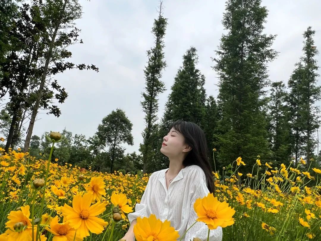 MAX 景觀 | 將跨學(xué)科思維植入教學(xué)，幫學(xué)員解鎖謝菲、愛大、AA等名校offer！
