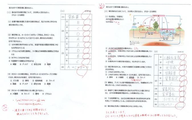 MAX CISH課程 | 免語言課程，可換學分，日本名校直錄利器，報名通道已開啟！