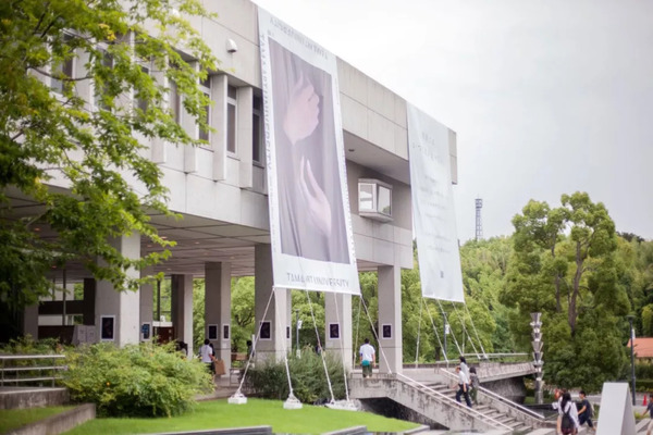 多摩美術大學相當于國內什么大學？