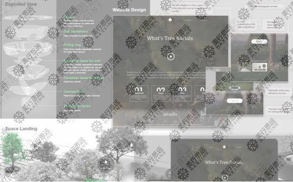 一舉奪魁！我把“分娩和樹葬”引入作品集，拿下RCA服務(wù)設(shè)計offer！