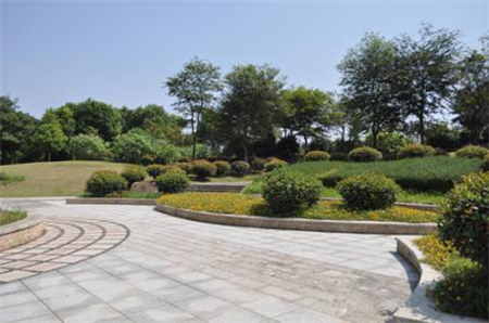 風景園林專業(yè)去日本讀研哪個大學好？