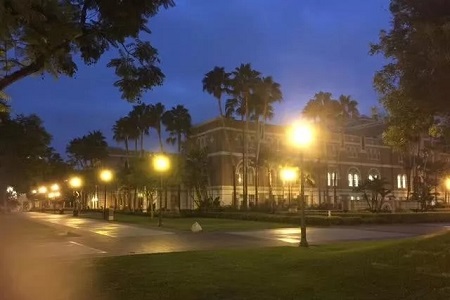 美國(guó)西北大學(xué)藝術(shù)專業(yè)有哪些？