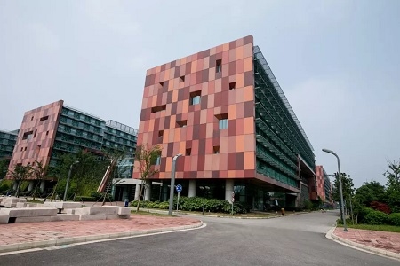 利物浦大學(xué)qs世界排名第幾？