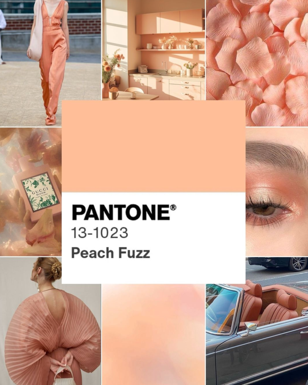 桃色來襲！2024年流行色 - PANTONE 13-1023 柔和桃色調(diào)