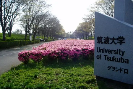 日本筑波大學(xué)什么專業(yè)最強(qiáng)？