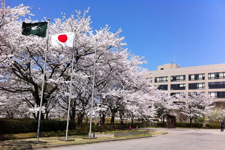 東京大學(xué)建筑學(xué)專業(yè)如何？