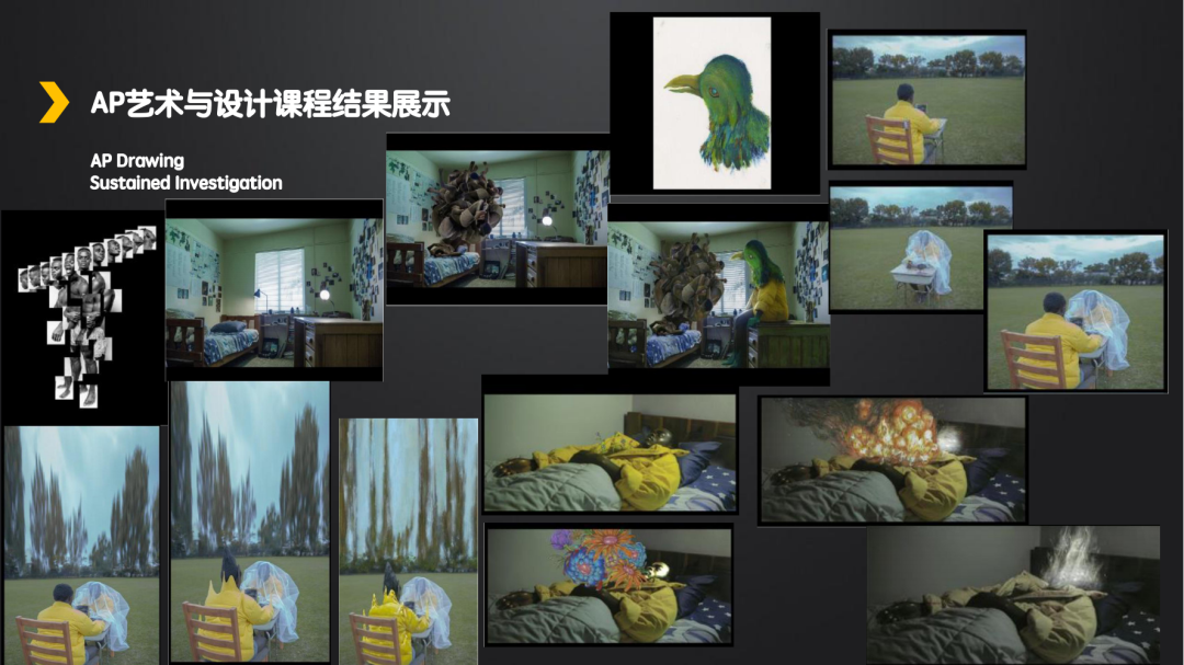 大批AP考生面臨成績?nèi)∠?？申訴/查分/遞交保姆級全攻略！