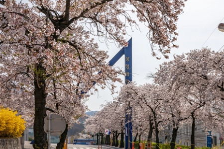 祥明大學(xué)qs世界排名多少位？