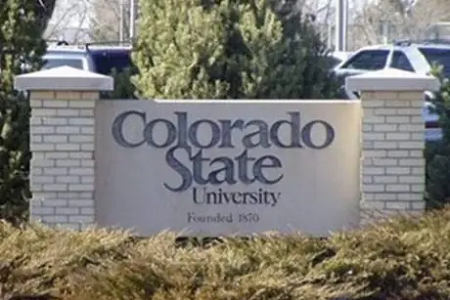 colorado大學(xué)世界排名多少位？