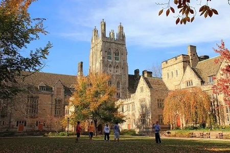 耶魯大學(xué)建筑介紹