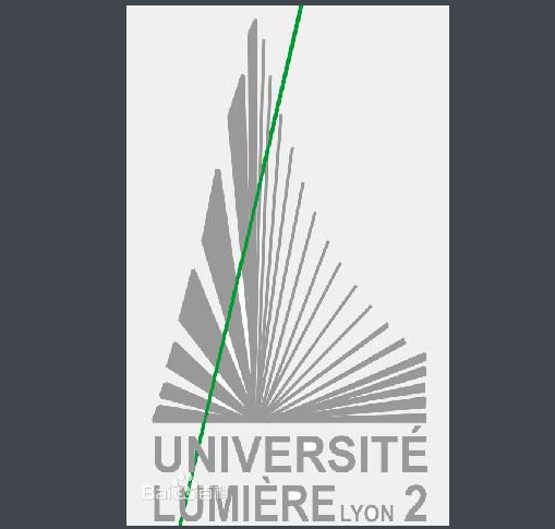UNIVERSITE LUMIERE-LYON II
