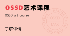 OSSD藝術(shù)課程